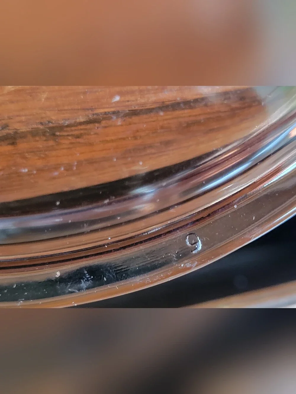 Pyrex V-15-C Replacement Lid, Pyrex Amber Lid V-1.5-C 6.75
